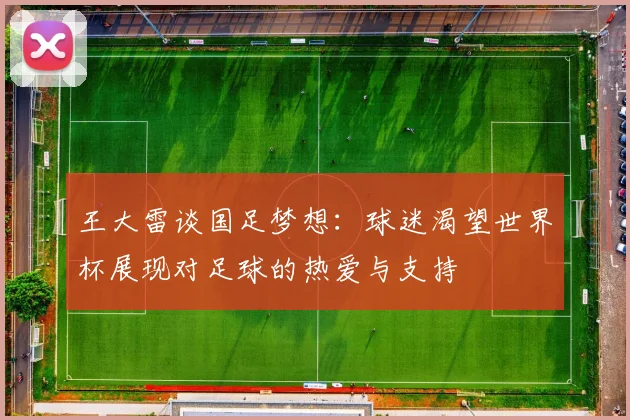 王大雷谈国足梦想：球迷渴望世界杯展现对足球的热爱与支持